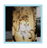 Lamp Illustration